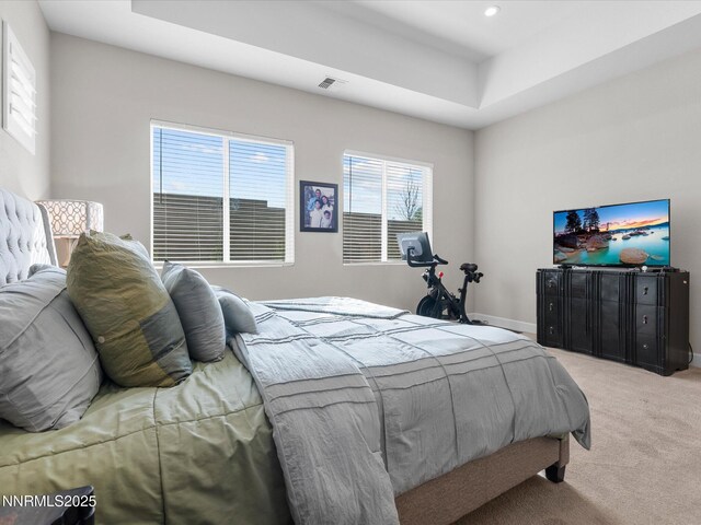 13545 Cobalt Sky St, Reno, NV 89521 - photo 47