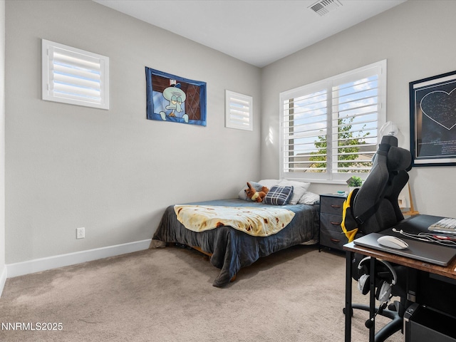 13545 Cobalt Sky St, Reno, NV 89521 - photo 57