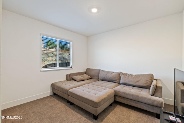 1413 Solitude Trl, Reno, NV 89523 - living room featuring carpet and baseboards
