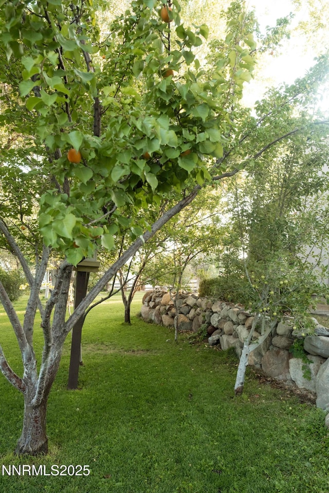 2003 Country Cir, Sparks, NV 89434 - photo 3