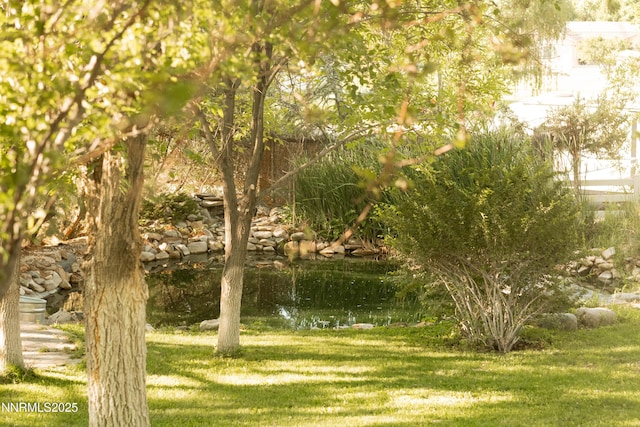 2003 Country Cir, Sparks, NV 89434 - photo 24