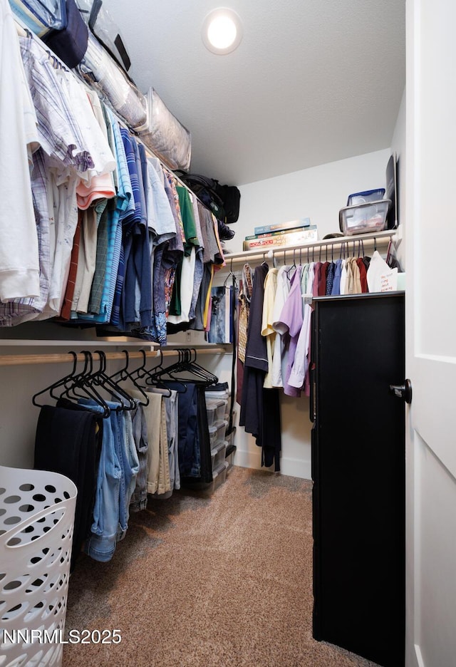 776 Kinsli St, Fallon, NV 89406 - spacious closet with carpet flooring