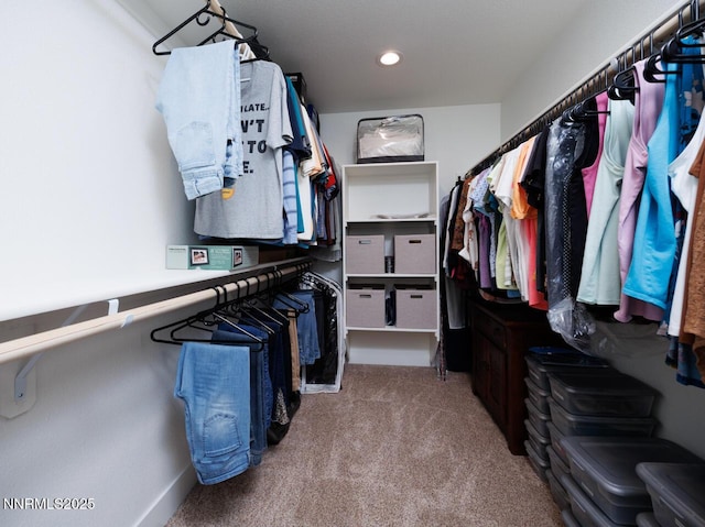 776 Kinsli St, Fallon, NV 89406 - walk in closet with carpet flooring