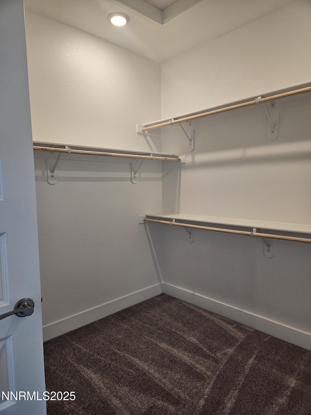 1205 Spur Way, Gardnerville, NV 89410 - walk in closet featuring dark carpet