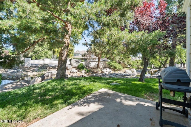 7187 Blue Falls Cir, Reno, NV 89511 - photo 40