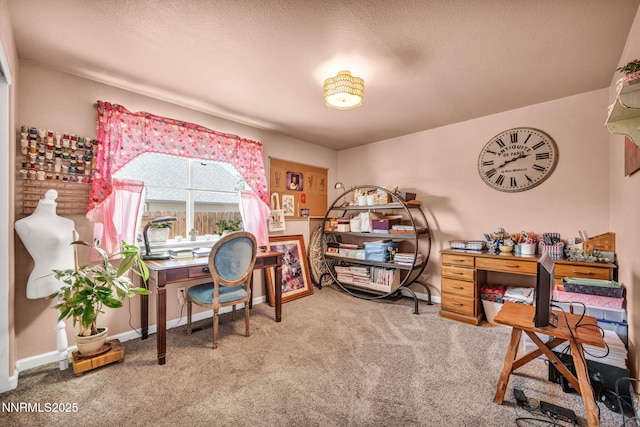 2235 Kadden Way, Dayton, NV 89403 - photo 18