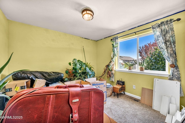 2235 Kadden Way, Dayton, NV 89403 - photo 19