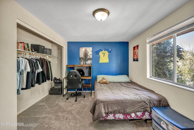 2391 Pinebrook Dr, Carson City, NV 89701 - photo 41