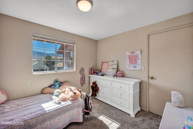 2391 Pinebrook Dr, Carson City, NV 89701 - photo 47