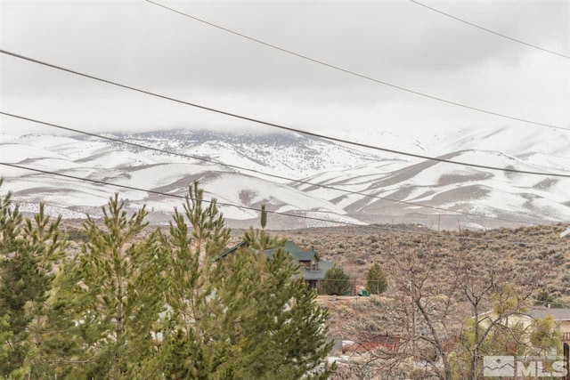 3460 Rolling Ridge Rd, Reno, NV 89506 - photo 20