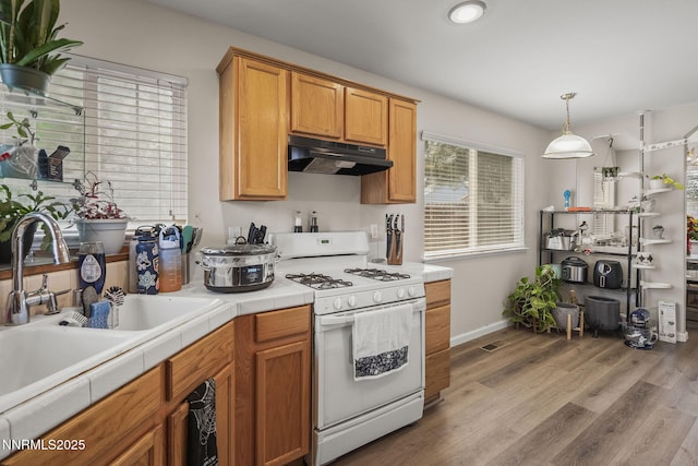 617 Winter Pl, Fernley, NV 89408 - photo 10