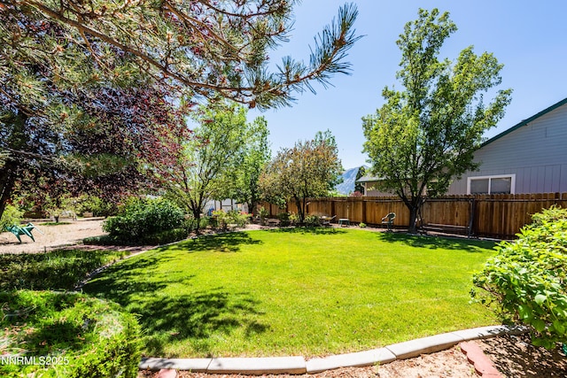 1419 Purple Sage Dr, Gardnerville, NV 89460 - view of fenced backyard