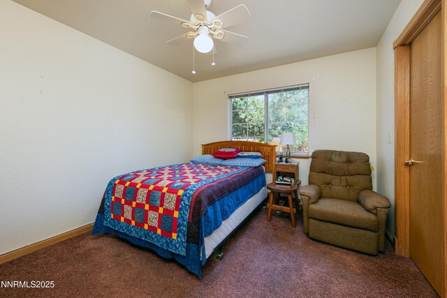 1419 Purple Sage Dr, Gardnerville, NV 89460 - photo 35
