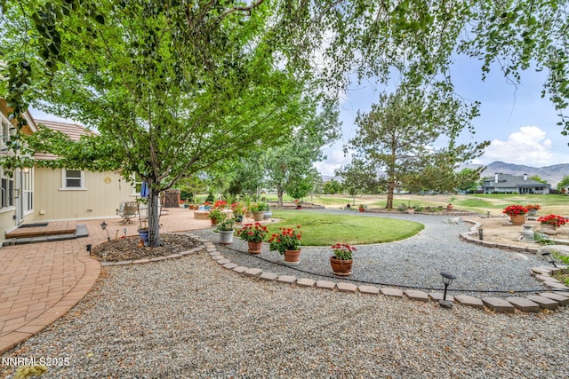 363 Bayhill Cir, Dayton, NV 89403 - photo 15