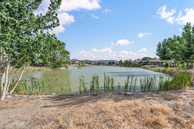 363 Bayhill Cir, Dayton, NV 89403 - photo 47