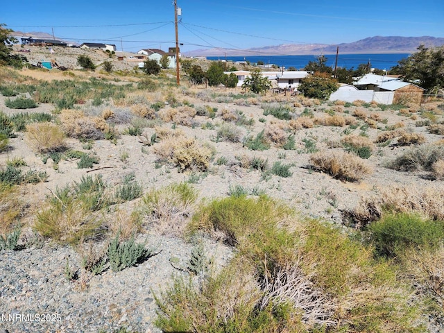 539 Walker Dr, Walker Lake, NV 89415 - photo 3