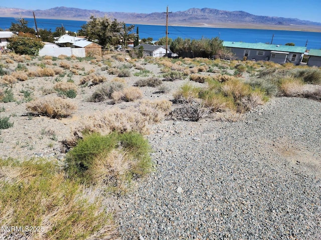 539 Walker Dr, Walker Lake, NV 89415 - photo 5