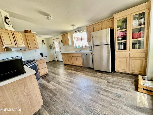 2405 Silas St, Fallon, NV 89406