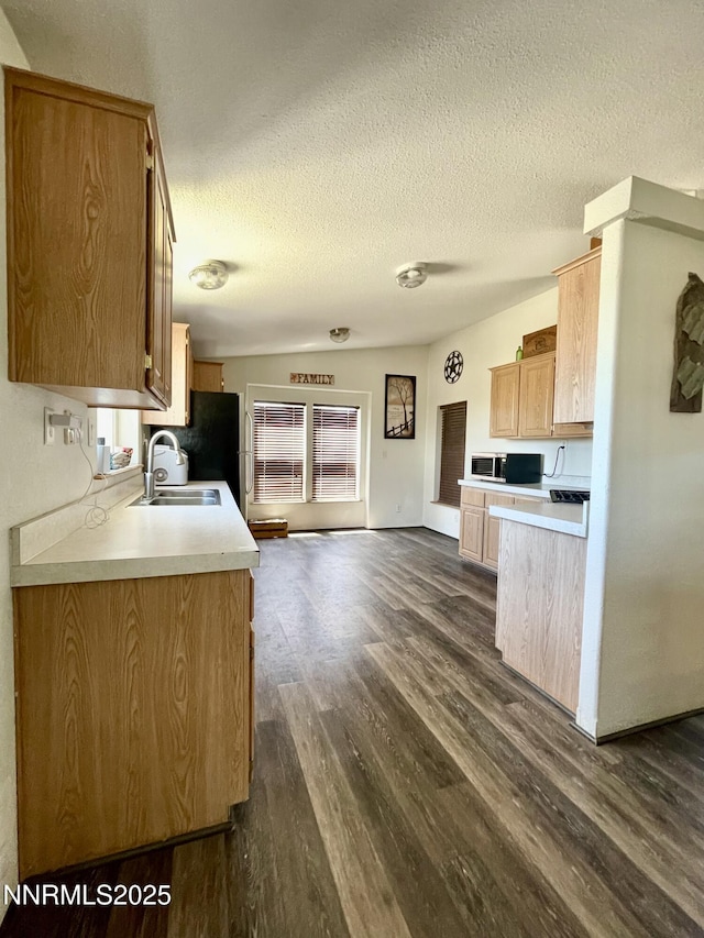 2405 Silas St, Fallon, NV 89406