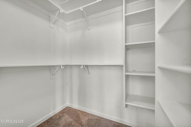 1425 Julie Ct, Reno, NV 89509 - spacious closet featuring carpet
