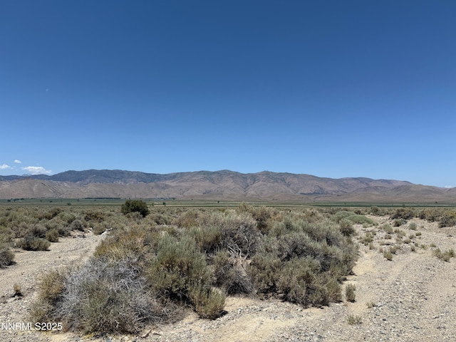 TBD Fenceline Rd, Gardnerville, NV 89410