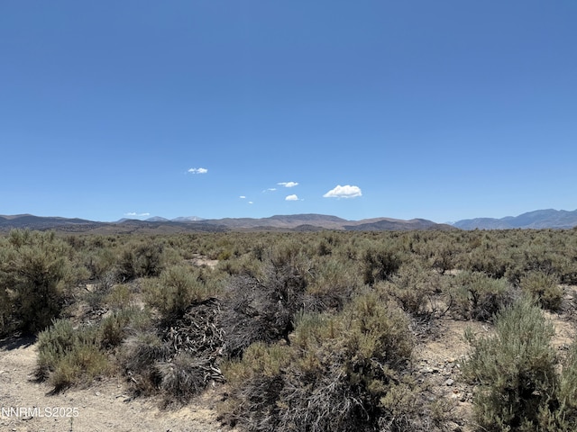 TBD Fenceline Rd, Gardnerville, NV 89410