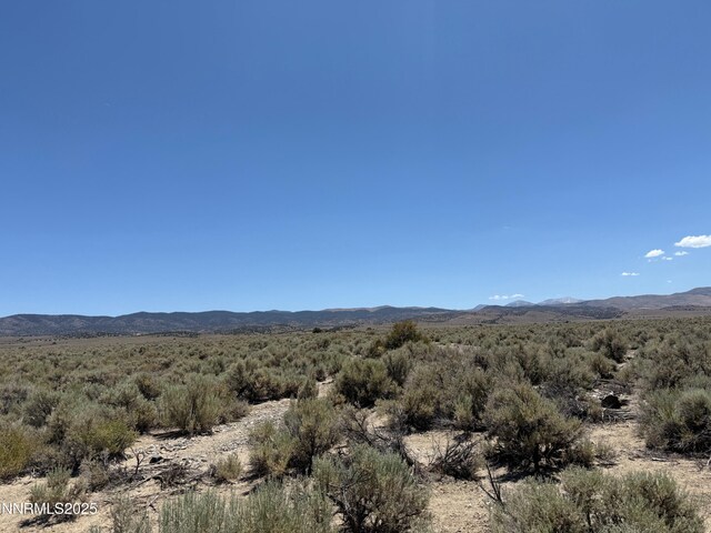 TBD Fenceline Rd, Gardnerville, NV 89410