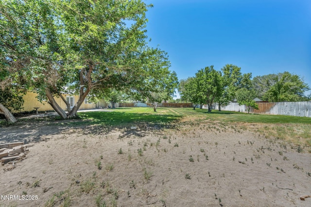 4210 Magnolia Rd, Fallon, NV 89406 - view of yard