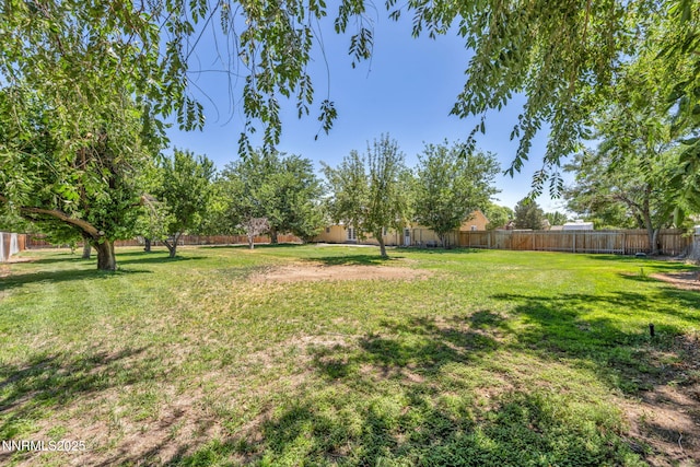4210 Magnolia Rd, Fallon, NV 89406 - view of fenced backyard