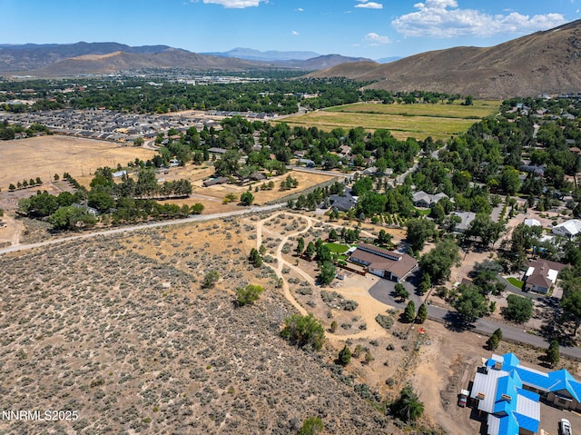 1777 N Winnie Ln, Carson City, NV 89703 - photo 48