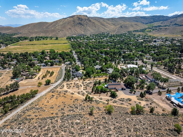 1777 N Winnie Ln, Carson City, NV 89703 - photo 49