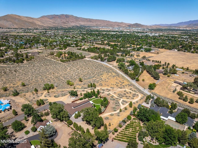 1777 N Winnie Ln, Carson City, NV 89703 - photo 54
