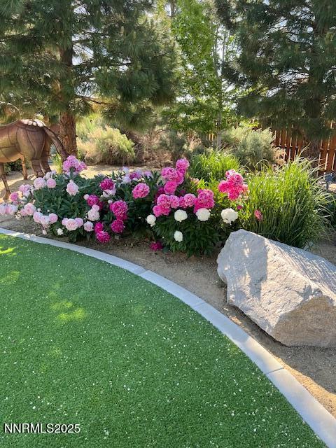 1777 N Winnie Ln, Carson City, NV 89703 - photo 34