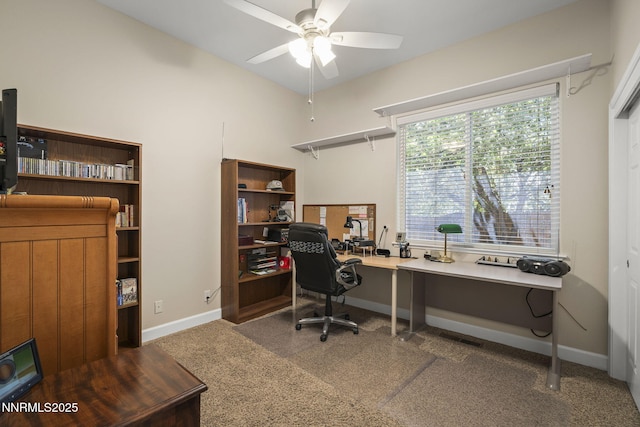 490 Norfolk Dr, Carson City, NV 89703 - photo 24