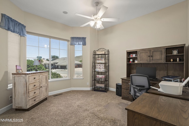 490 Norfolk Dr, Carson City, NV 89703 - photo 25