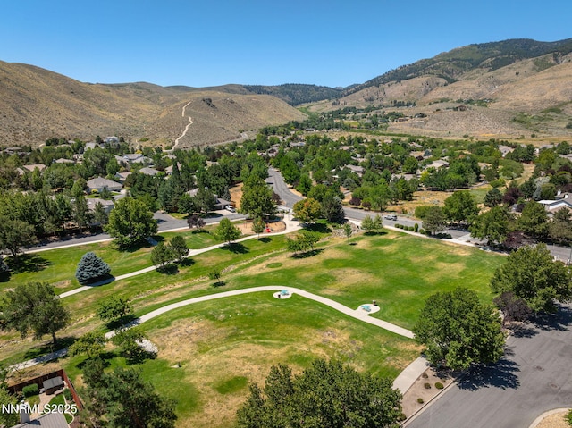 490 Norfolk Dr, Carson City, NV 89703 - photo 43