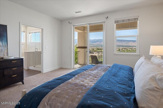 10365 Gold Mine Dr, Reno, NV 89521 - photo 24