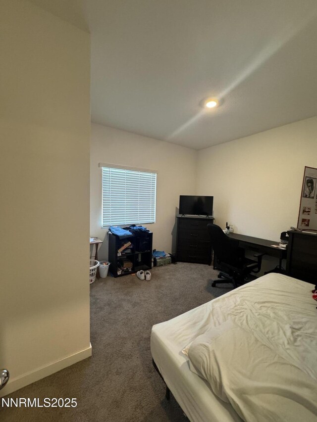 427 Agate Ln, Fallon, NV 89406 - carpeted bedroom with baseboards