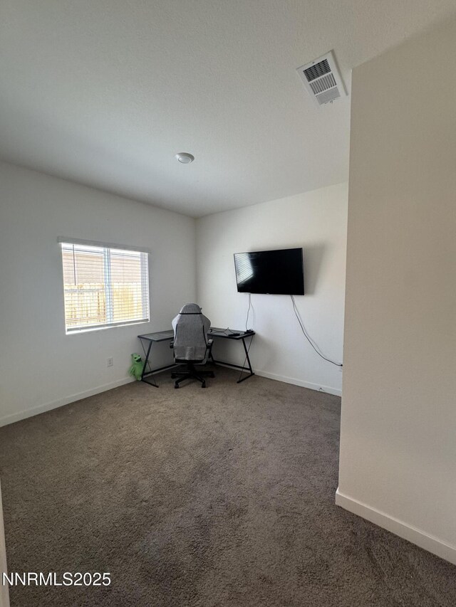 427 Agate Ln, Fallon, NV 89406 - unfurnished office with carpet flooring