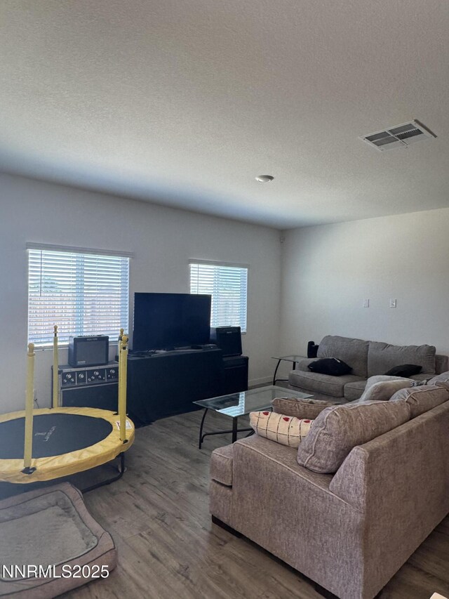 427 Agate Ln, Fallon, NV 89406 - living area with wood finished floors