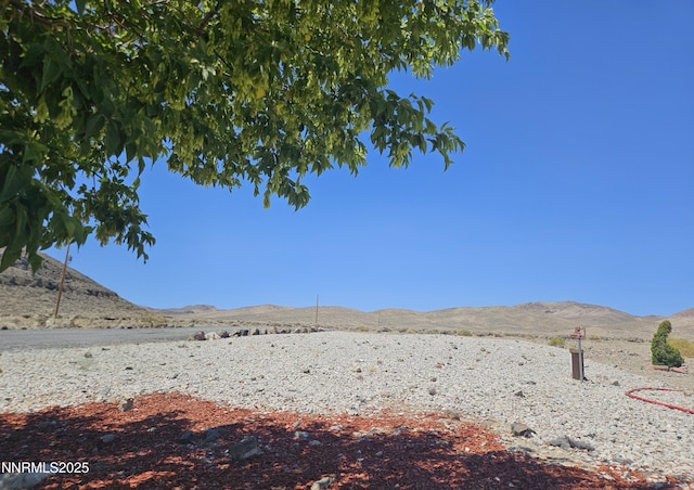 7900 Beech St, Silver Springs, NV 89429 - photo 23