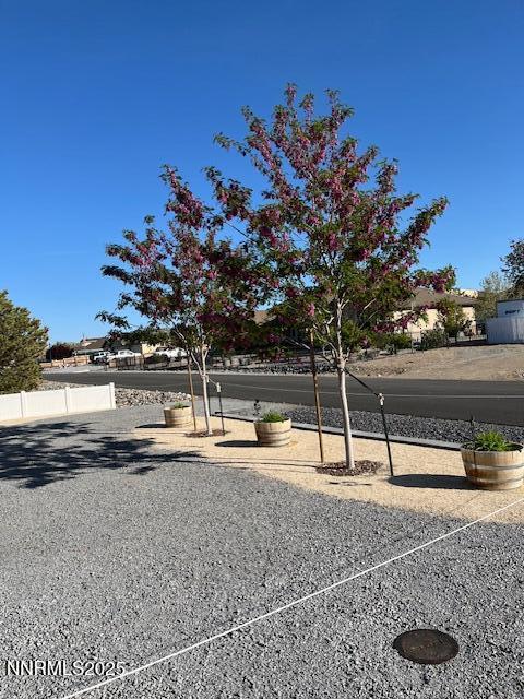 529 Saddle Horn Way, Fernley, NV 89408 - photo 46