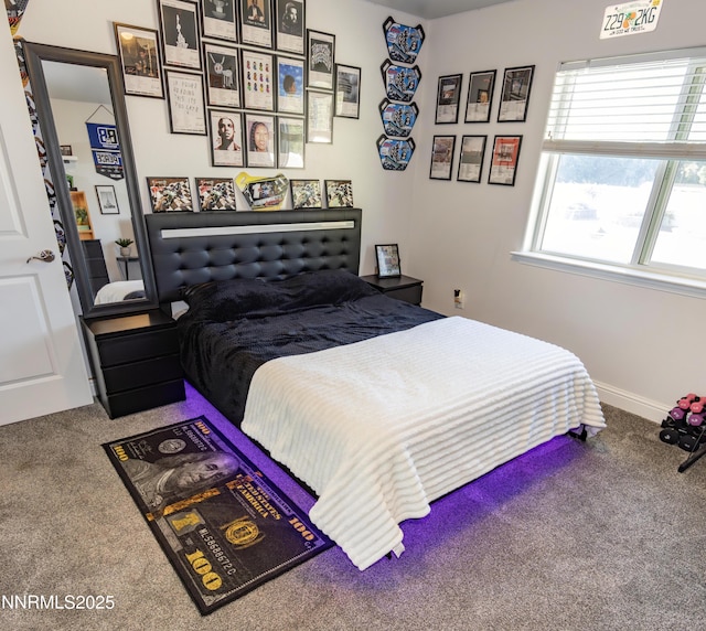 529 Saddle Horn Way, Fernley, NV 89408 - photo 22