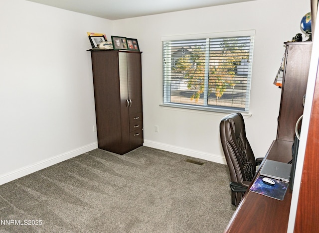 529 Saddle Horn Way, Fernley, NV 89408 - photo 24