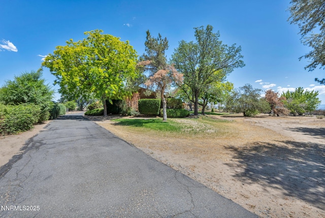 1405 Primrose Ln, Minden, NV 89423 - view of asphalt driveway