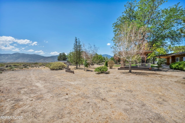 1405 Primrose Ln, Minden, NV 89423 - view of yard featuring a mountain view