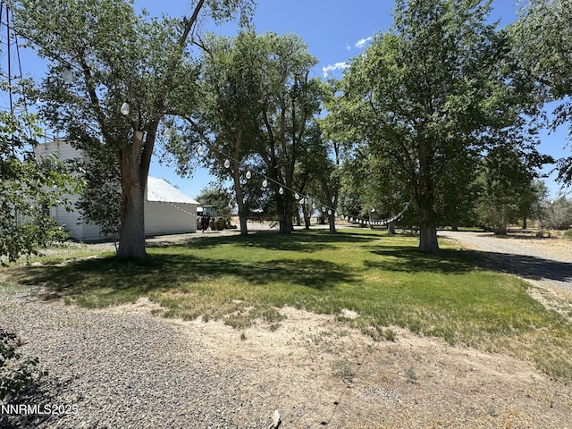 7650 Grass Valley Rd, Winnemucca, NV 89445 - view of green lawn