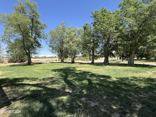 7650 Grass Valley Rd, Winnemucca, NV 89445 - view of grassy yard