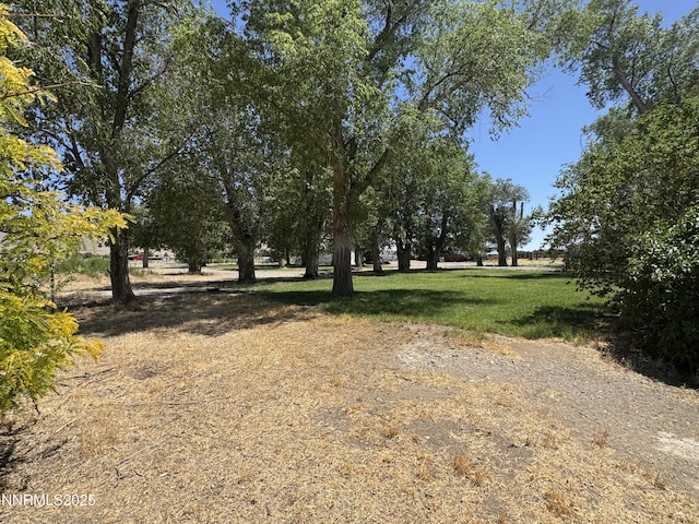 7650 Grass Valley Rd, Winnemucca, NV 89445 - view of yard