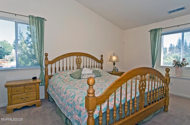 235 Montgomery St, Markleeville, CA 96120 - photo 28